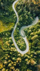 Aerial view of  winding  river. Vertical background 