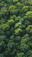 Green forest background. Vertical background 