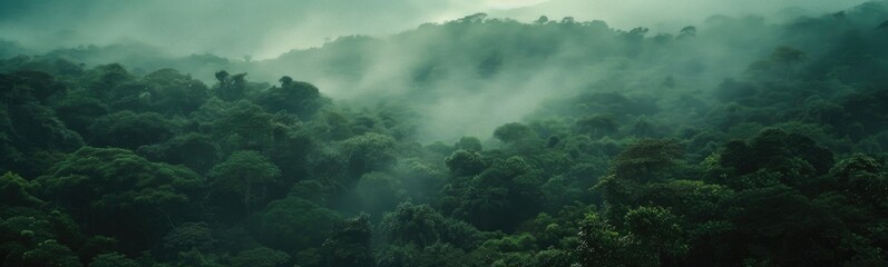 Fog in green forest . Banner - Powered by Adobe