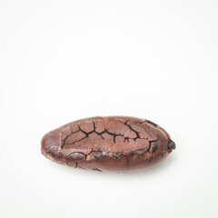 Single roasted cocoa bean chocolate isolated white background organic processed