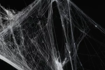 Fotobehang Spider on white cobweb against black background © New Africa