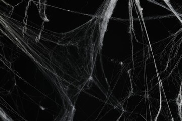 Creepy white cobweb on black background, closeup