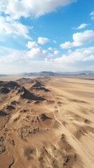 Fototapeta na wymiar Desert background . Vertical background 