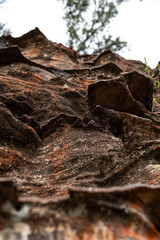 sharp natural rock wall texture