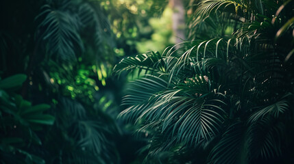 Fototapeta na wymiar Deep tropical jungle in darkness. Deep tropical jungles. AI Generative
