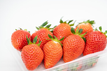 新鮮なイチゴ