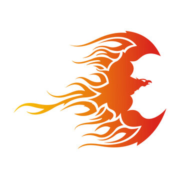 abstract vector logo design template modern simple logo icon elite eagle bird