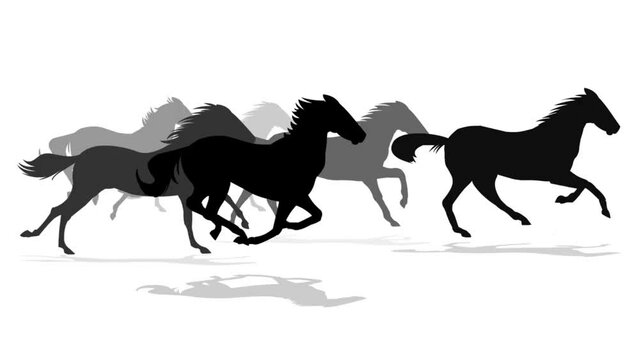 Horse racing in racecourse 4k animation