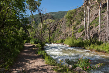 Fototapeta na wymiar In a summer morning, the grizzly creek view from the grizzly creek trail in the Glenwood Canyon, White River National Forest (Glenwood Springs, Colorado, United-States)
