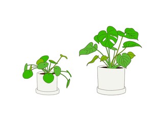 Plants © Sooji