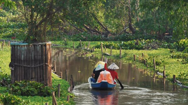 Serenity on the Water - Exploring Tra Su Nature Reserve by Boat in Slow, Vietnam