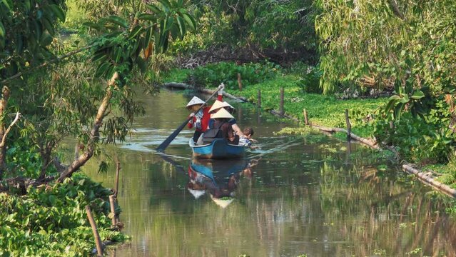 Tranquil River Adventure - Boat Trip Through Tra Su Forest Nature Reserve, Vietnam
