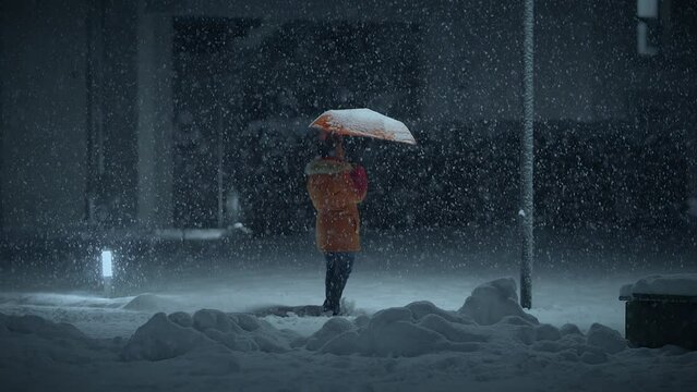 Young African Woman Standing on Street at Night During Snow Fall with Umbrella
