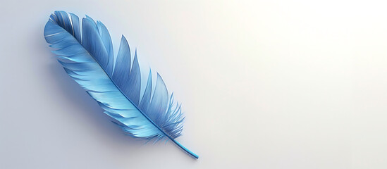 Blue feather isolated on white minimalist background