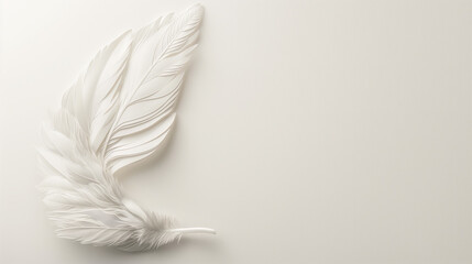White feather on white paper texture minimalist background