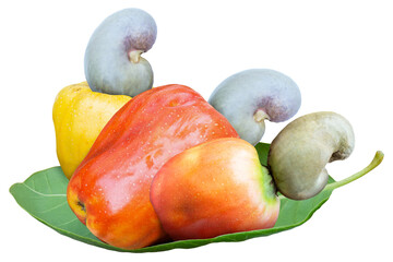Fresh red and yellow cashew fruits with seeds isolated on white background