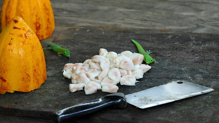 cocoa and geckos on a table