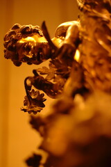 golden buddha statue