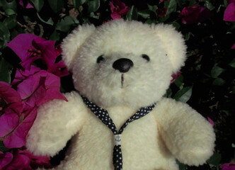 Osito de peluche en flores