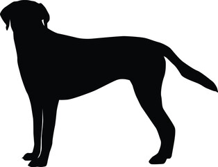 Dog full body silhouette illustration