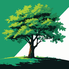 Fototapeta na wymiar green tree isolated on white