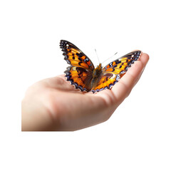 Butterfly_in_the_palm_of_the_hand