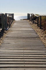 Obraz premium Wooden boardwalk path leading to the ocean