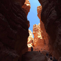 Bryce Canyon National Park, UTAH-USA