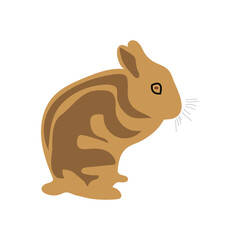 rabbit animal icon vector