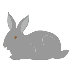 rabbit animal icon vector