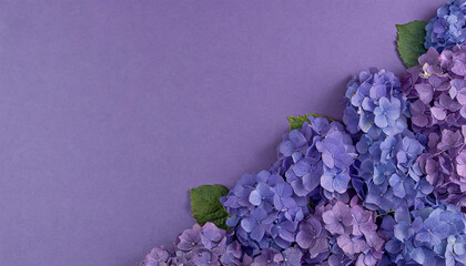 紫色の背景へアジサイの花でフラワーフレームを作った画像2