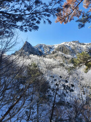 mountain in winter