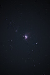 Cuadro vertical destacando la región de formación estelar de la Nebulosa de Orión (conocida...