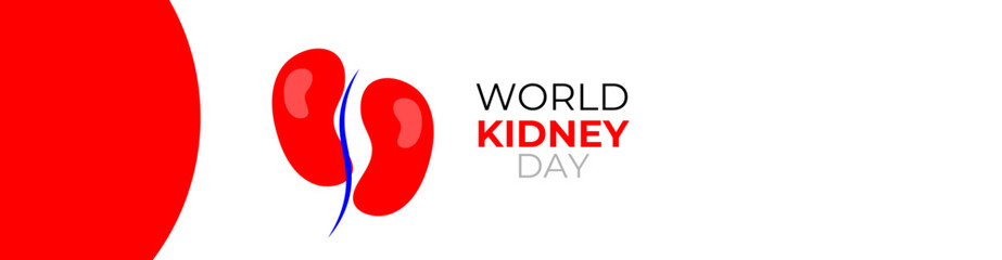 world kidney day concept poster, cover, flyer, banner, background. The national kidney month vector illustration. Abstract illustration for prevention of kidney diseases. Urogenital system.