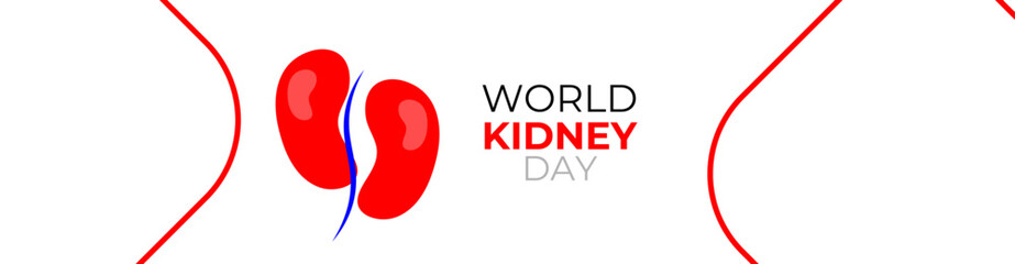 world kidney day concept poster, cover, flyer, banner, background. The national kidney month vector illustration. Abstract illustration for prevention of kidney diseases. Urogenital system.