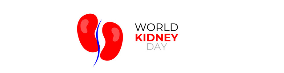 world kidney day concept poster, cover, flyer, banner, background. The national kidney month vector illustration. Abstract illustration for prevention of kidney diseases. Urogenital system.