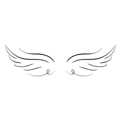 Wings, black and white doodle, vector illustration, sketch. Isolated two separate wings, graphic element. Angel, bird. Print design