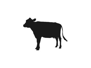 cow silhouettes icon. Black silhouette cow isolated on white. silhouettes icon can be used for web and mobile. black silhouette vector illustration isolated on white background.	