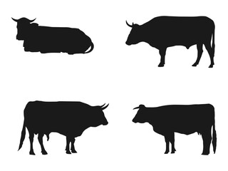 cow silhouettes icon. Black silhouette cow isolated on white. silhouettes icon can be used for web and mobile. black silhouette vector illustration isolated on white background.