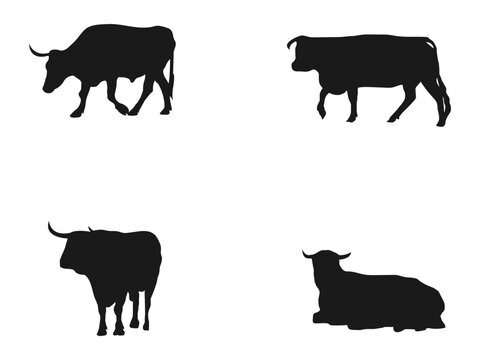 Bull silhouettes set. Black silhouette bull isolated. silhouettes icon can be used for web and mobile. Hand drawn vector illustration. black silhouette vector illustration isolated on white background