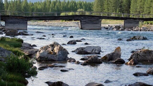 Video of old wooden bridge over Altai river Bashkaus.