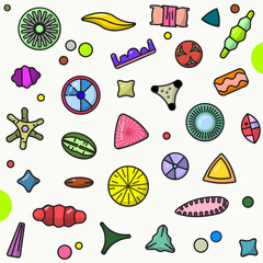 Diatoms: Microalgae with silica cell walls found in water. They're vital for ecosystems as primary producers and have industrial applications.