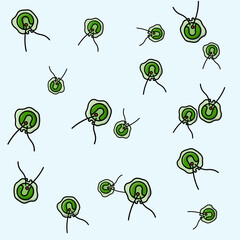 Chlamydomonas: Single-celled green algae, often found in freshwater and soil. Used as a model organism in biology research due to its simplicity.