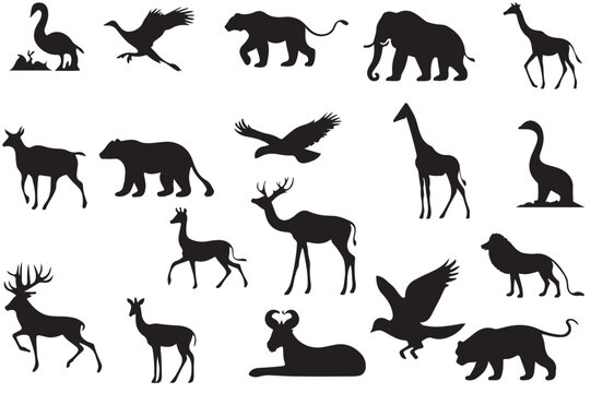 set of wild  animals silhouettes vector 
