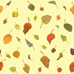 Seamless pattern of multi-colored autumn leaves, leaf fall on a light background.