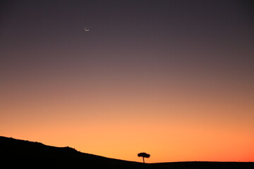 silhouette of a mountain range with one single tree and a crescent moon in Damaraland, Namibia