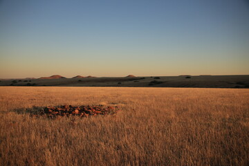 sunrise in the endless grasslands of Namibia