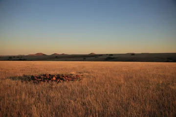 Foto op Canvas sunrise in the endless grasslands of Namibia © Marcel
