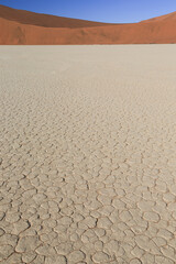 clay pan pattern of Deadvlei, Namib desert