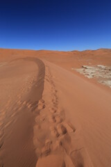 Fototapeta na wymiar tracks on the red sand dune's edge